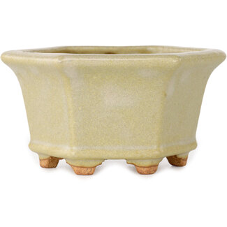  Hattori Tomoyuki 92 mm hexagonal off-white bonsai pot by Hattori, Tokoname, Japan