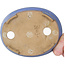 Oval blue bonsai pot by Yamafusa, second generation - 137 x 110 x 27 mm
