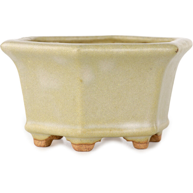 Hexagonal off-white bonsai pot by Hattori - 92 x 92 x 48 mm