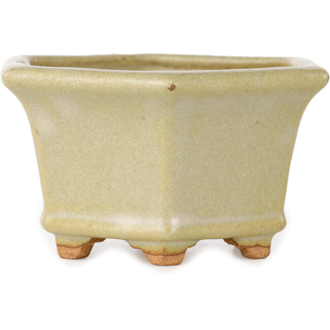Hexagonal off-white bonsai pot by Hattori - 92 x 92 x 48 mm