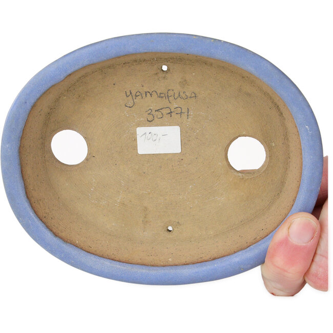 Maceta ovalada azul para bonsái de Yamafusa, segunda generación - 137 x 110 x 27 mm