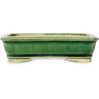  Shibakatsu (Katsuichi Shibata) Vaso bonsai verde rettangolare da 130 mm di Shibakatsu, Tokoname, Giappone