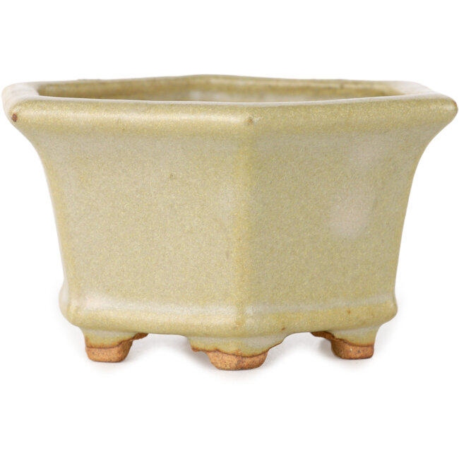 Hexagonal off-white bonsai pot by Hattori - 92 x 92 x 48 mm