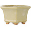 Pot à bonsaï hexagonal blanc cassé de Hattori - 92 x 92 x 48 mm
