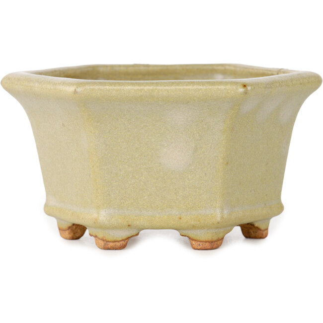 Pot à bonsaï hexagonal blanc cassé de Hattori - 92 x 92 x 48 mm