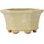 Pot à bonsaï hexagonal blanc cassé de Hattori - 92 x 92 x 48 mm