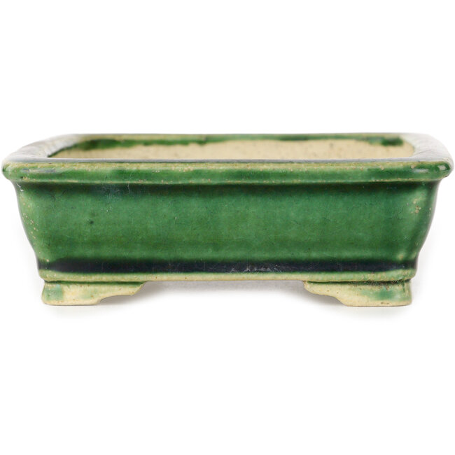 Maceta rectangular verde para bonsái de Shibakatsu - 130 x 102 x 33 mm