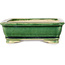 Rechthoekige groene bonsaipot van Shibakatsu - 130 x 102 x 33 mm