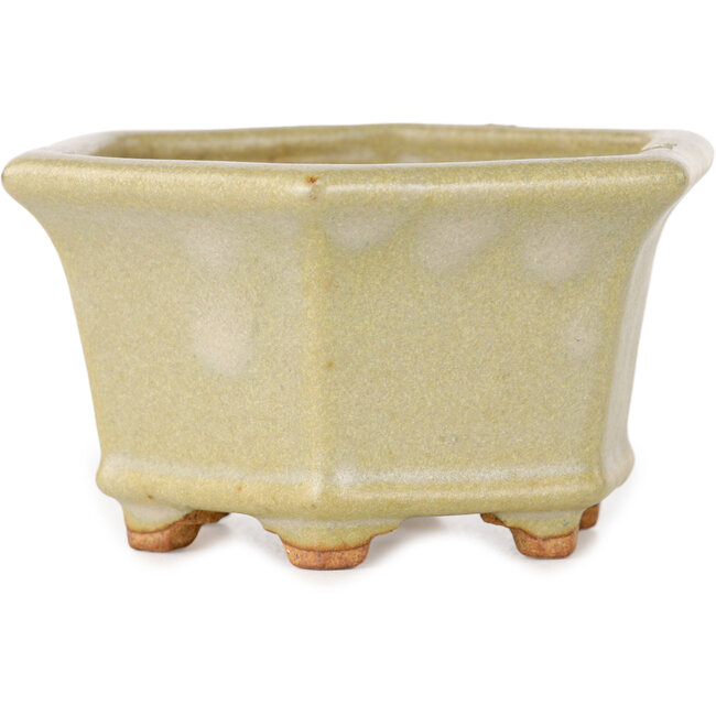 Hexagonal off-white bonsai pot by Hattori - 92 x 92 x 48 mm