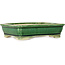Maceta rectangular verde para bonsái de Shibakatsu - 130 x 102 x 33 mm