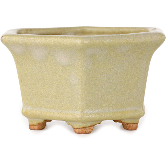 Maceta hexagonal para bonsái en color blanco roto de Hattori - 92 x 92 x 48 mm