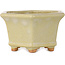 Hexagonal off-white bonsai pot by Hattori - 92 x 92 x 48 mm