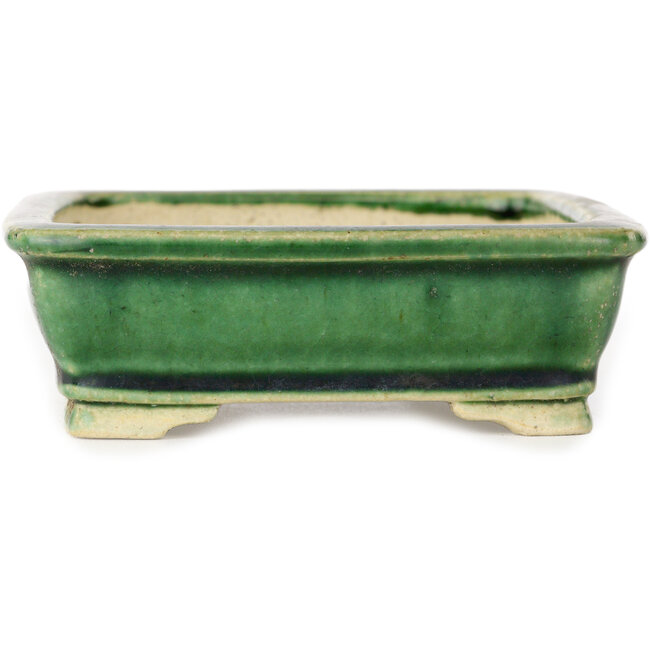 Maceta rectangular verde para bonsái de Shibakatsu - 130 x 102 x 33 mm