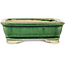 Pot à bonsaï rectangulaire vert de Shibakatsu - 130 x 102 x 33 mm