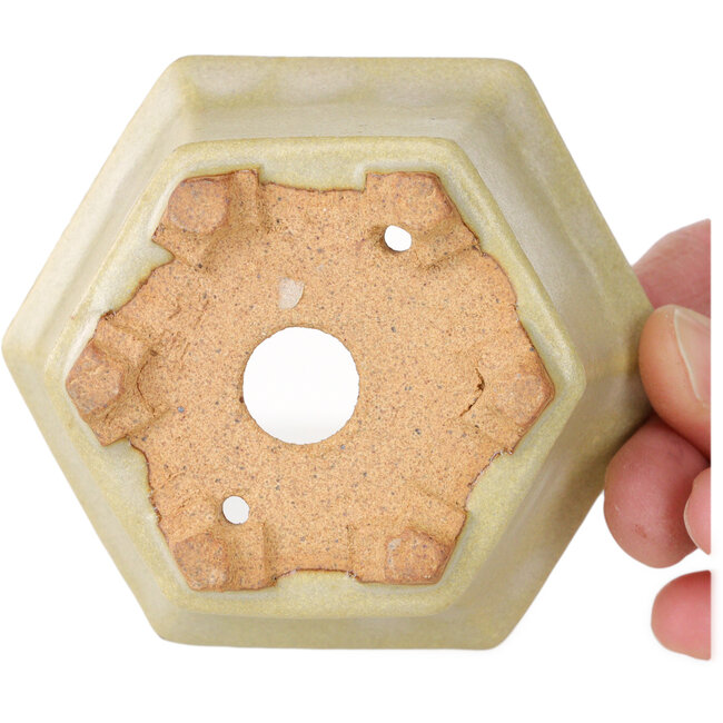 Pot à bonsaï hexagonal blanc cassé de Hattori - 92 x 92 x 48 mm