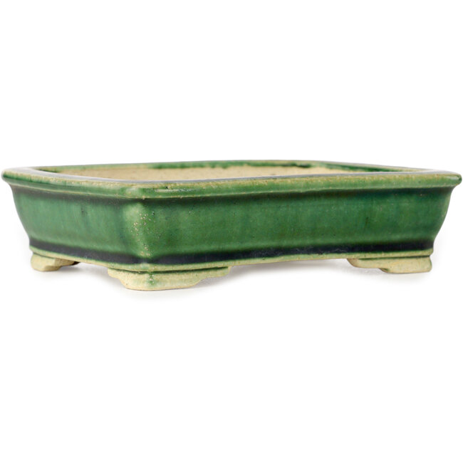 Rectangular green bonsai pot by Shibakatsu - 130 x 102 x 33 mm