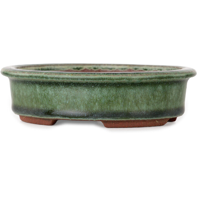 Vaso bonsai ovale verde di Eime Yozan - 125 x 102 x 33 mm
