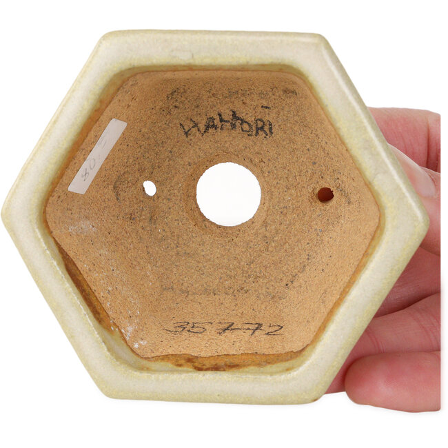 Pot à bonsaï hexagonal blanc cassé de Hattori - 92 x 92 x 48 mm