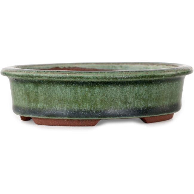 Vaso bonsai ovale verde di Eime Yozan - 125 x 102 x 33 mm