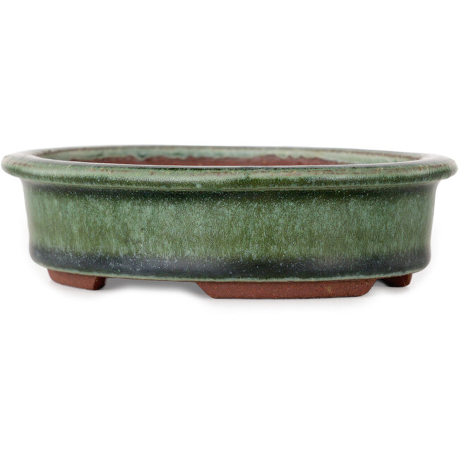 Vaso bonsai ovale verde di Eime Yozan - 125 x 102 x 33 mm