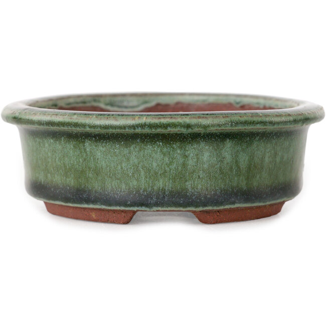 Maceta ovalada verde para bonsái de Eime Yozan - 125 x 102 x 33 mm