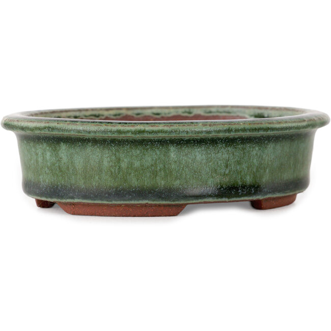 Maceta ovalada verde para bonsái de Eime Yozan - 125 x 102 x 33 mm