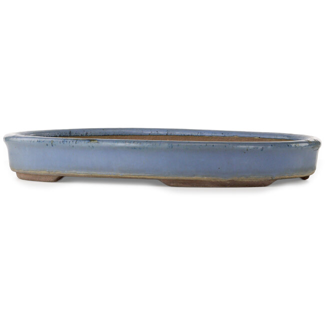 Oval blue bonsai pot - 540 x 400 x 75 mm