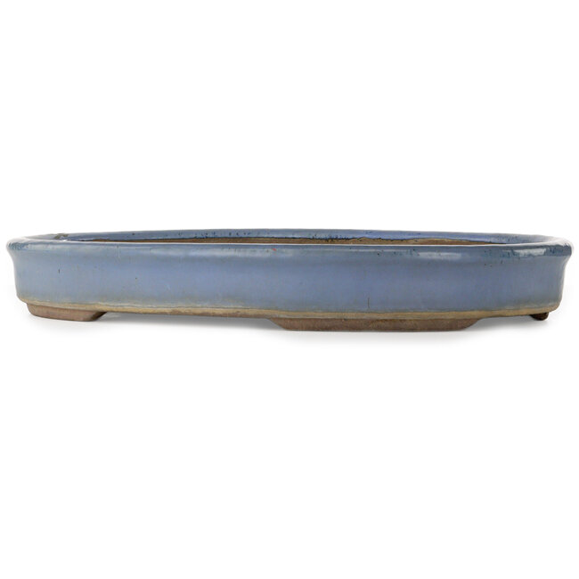 Maceta ovalada azul para bonsái - 540 x 400 x 75 mm