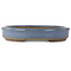 Oval blue bonsai pot - 540 x 400 x 75 mm