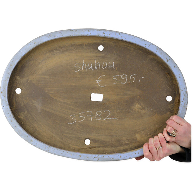 Ovaler blauer Bonsai-Topf von Shuhou – 575 x 405 x 67 mm