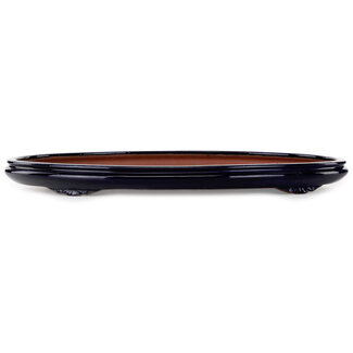 Seizan (Reihou, Kataoka Katsushi, master Seizan kiln) 555 mm ovale blaue Bonsaischale von Seizan (Reihou, Kataoka Katsushi, Meister Seizan-Ofen), Tokoname, Japan