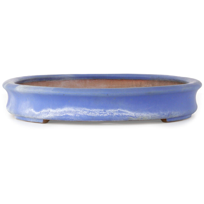 Vaso bonsai ovale blu di Seizan (Reihou, Kataoka Katsushi, fornace del maestro Seizan) - 470 x 345 x 57 mm