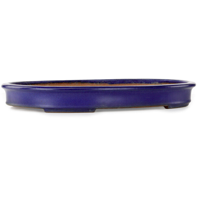 Pot ovale bleu pour bonsaï de Yamafusa - 475 x 342 x 55 mm