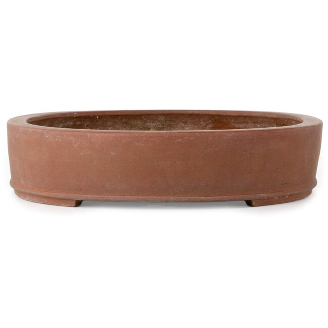 Pot à bonsaï ovale non émaillé de Shouzan Kaneshou (Masami Watanabe) - 565 x 430 x 105 mm