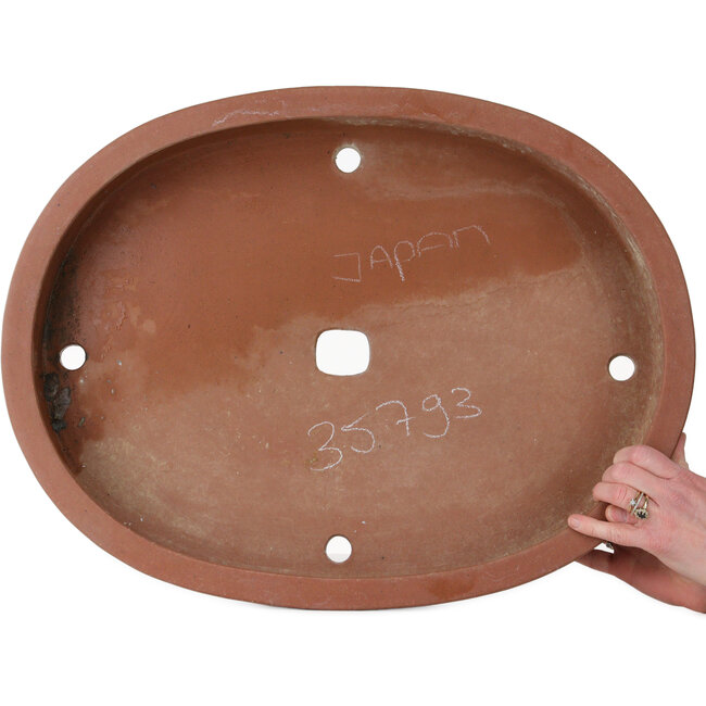 Pot à bonsaï ovale non émaillé de Shouzan Kaneshou (Masami Watanabe) - 565 x 430 x 105 mm