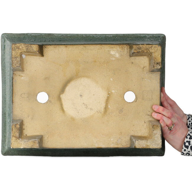 Rechthoekige groene bonsaipot - 435 x 325 x 140 mm