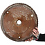 Pot à bonsaï rond non émaillé - 500 x 500 x 105 mm