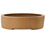 Pot ovale non émaillé pour bonsaï - 547 x 397 x 107 mm