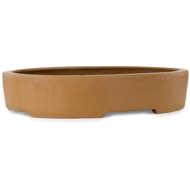 Maceta ovalada sin esmaltar para bonsái - 547 x 397 x 107 mm