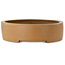 Vaso bonsai ovale non smaltato - 547 x 397 x 107 mm