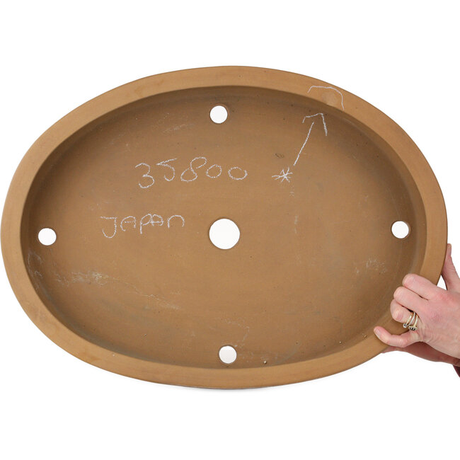 Pot ovale non émaillé pour bonsaï - 547 x 397 x 107 mm