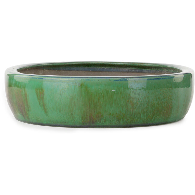 Ovale groene bonsaipot - 463 x 365 x 90 mm