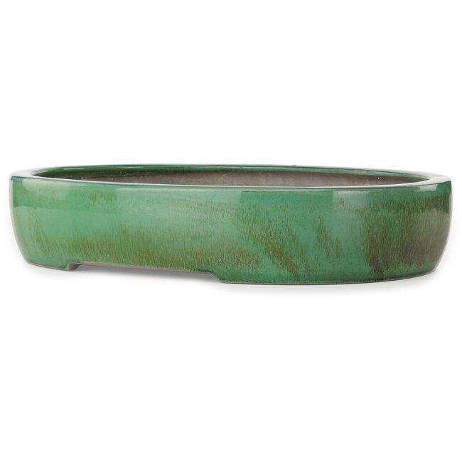Oval green bonsai pot - 463 x 365 x 90 mm