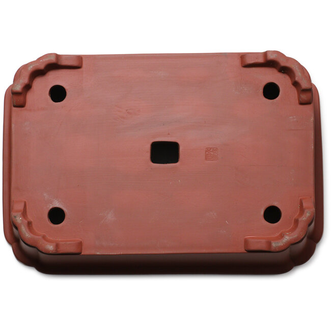 Maceta de bonsái Lotus sin esmaltar de Suishoen Hekisui - 420 x 293 x 115 mm