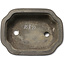 Mokko unglazed bonsai pot - 343 x 258 x 115 mm