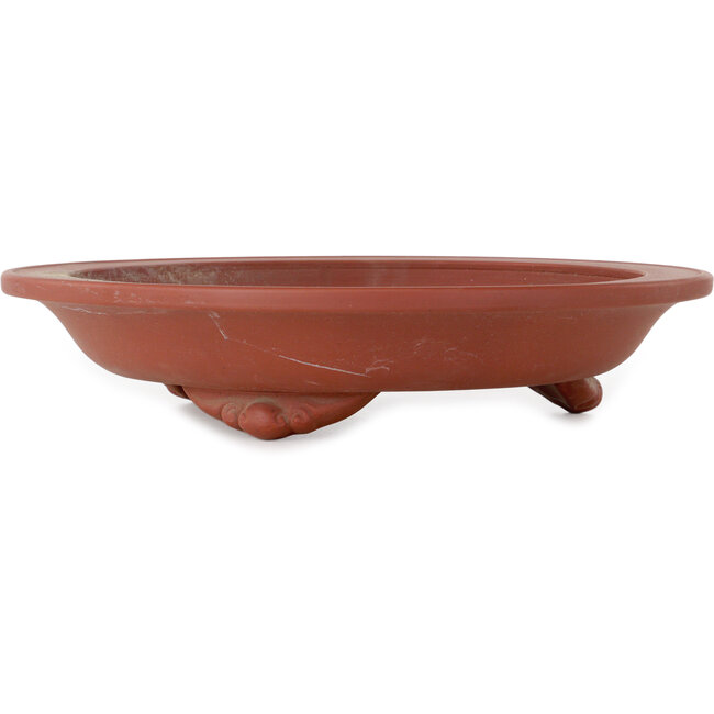 Maceta redonda sin esmaltar para bonsái - 305 x 305 x 65 mm