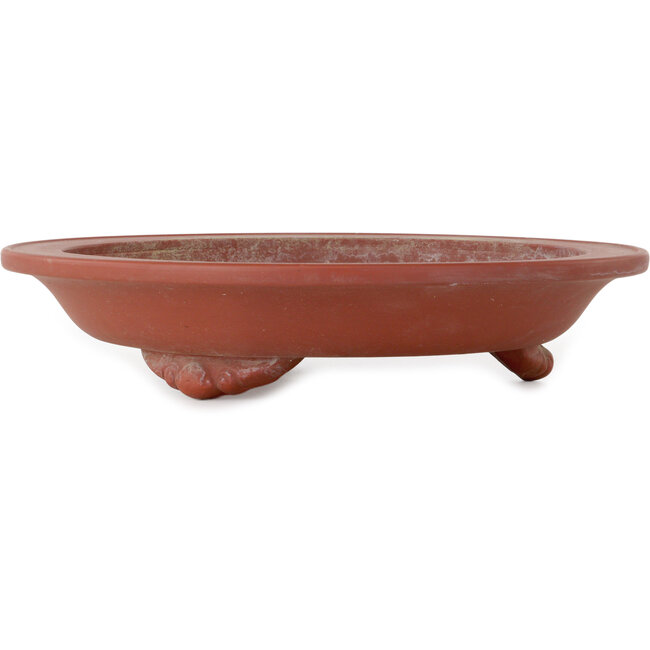 Pot à bonsaï rond non émaillé - 305 x 305 x 65 mm