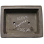 Maceta rectangular sin esmaltar para bonsái de Kyuhoen (Shunhosho) - 402 x 315 x 128 mm