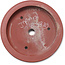 Maceta redonda sin esmaltar para bonsái - 305 x 305 x 65 mm