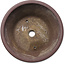 Round unglazed bonsai pot - 373 x 373 x 138 mm